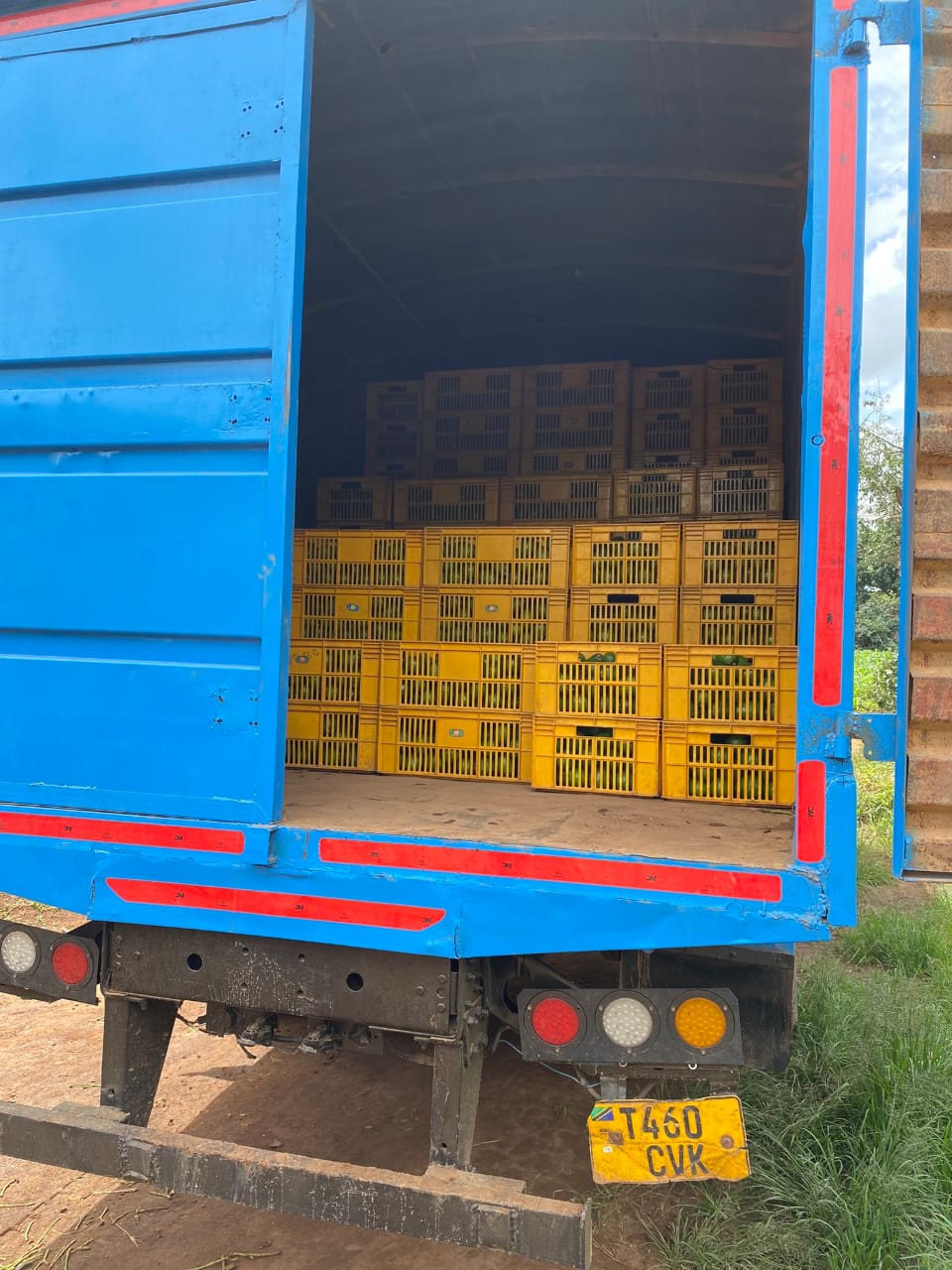 Truck loaded with avocado crates