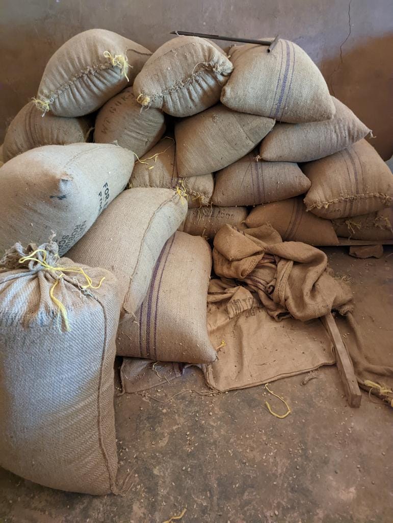 Burlap sacks ready for shipping