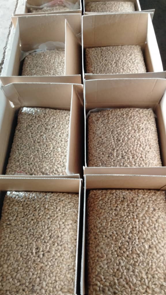 Cashews packaged and ready for shipping