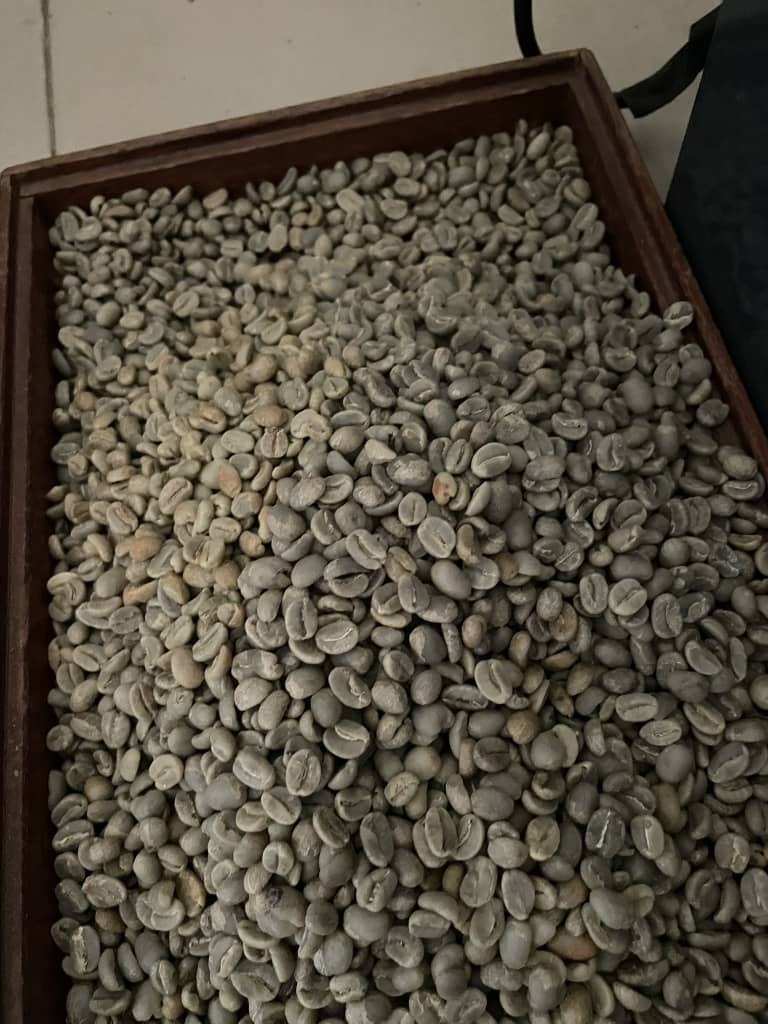 Tanzania coffee export quality