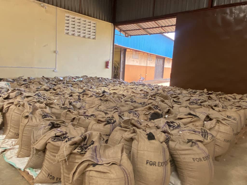 Export logistics operations