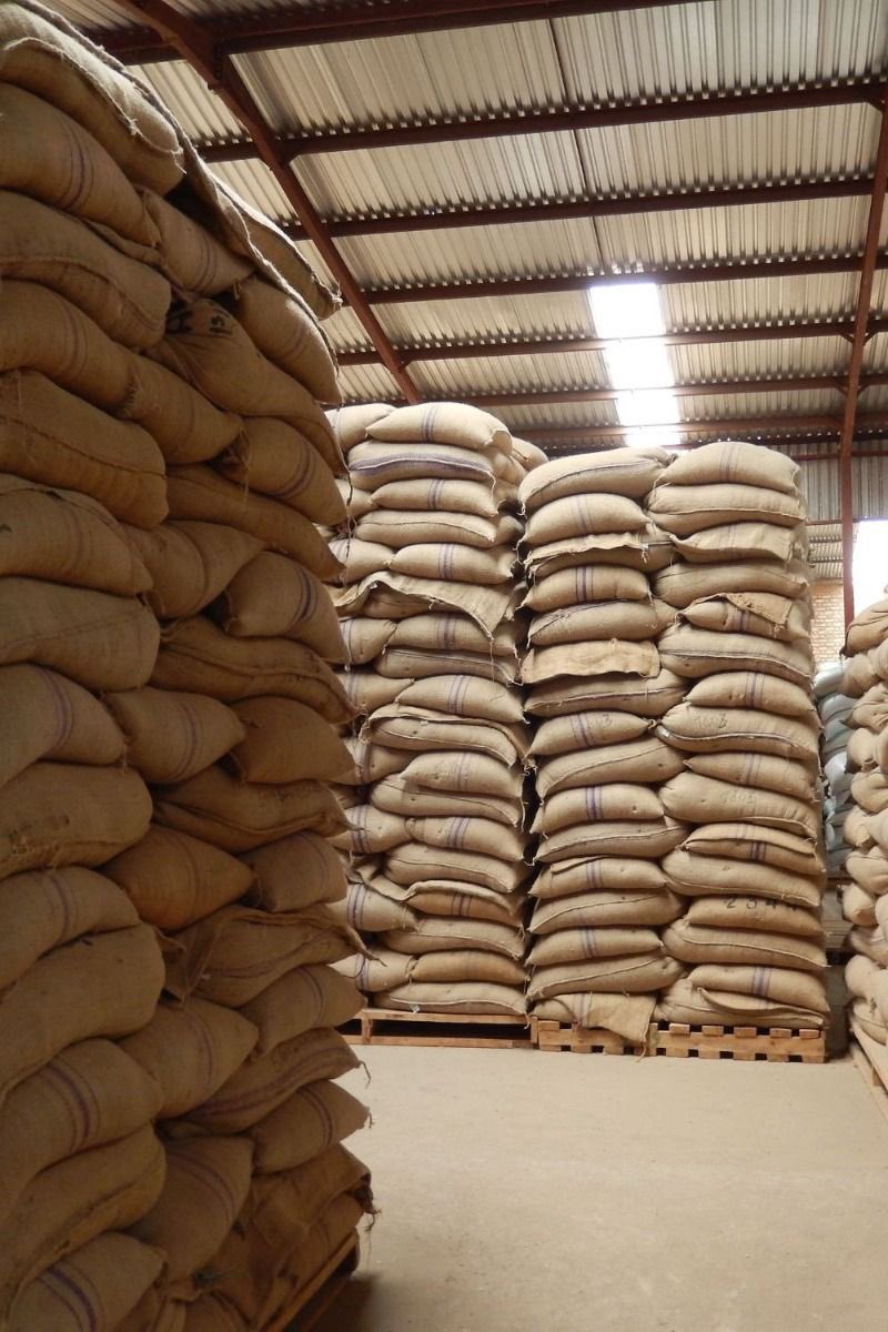 Port and export logistics