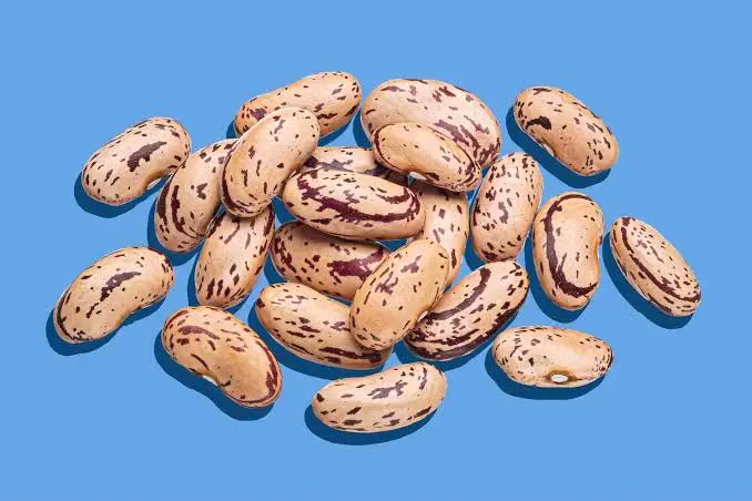 Pulses & Beans